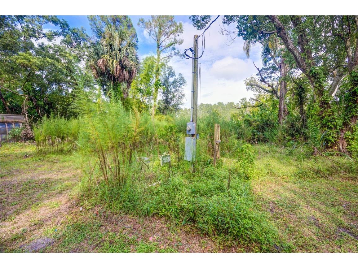 7408 Tom Drive Land O Lakes FL 34638 TB8371929 image5