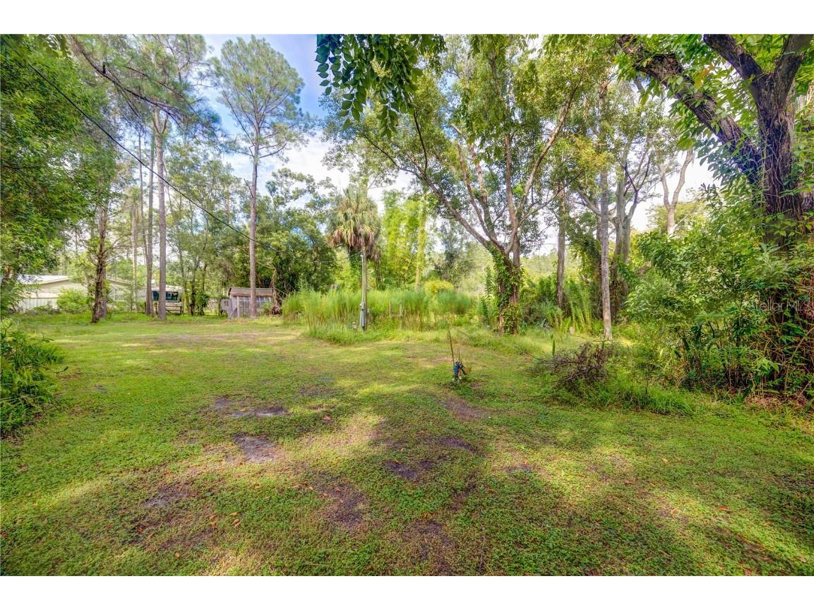 7408 Tom Drive Land O Lakes FL 34638 TB8371929 image8