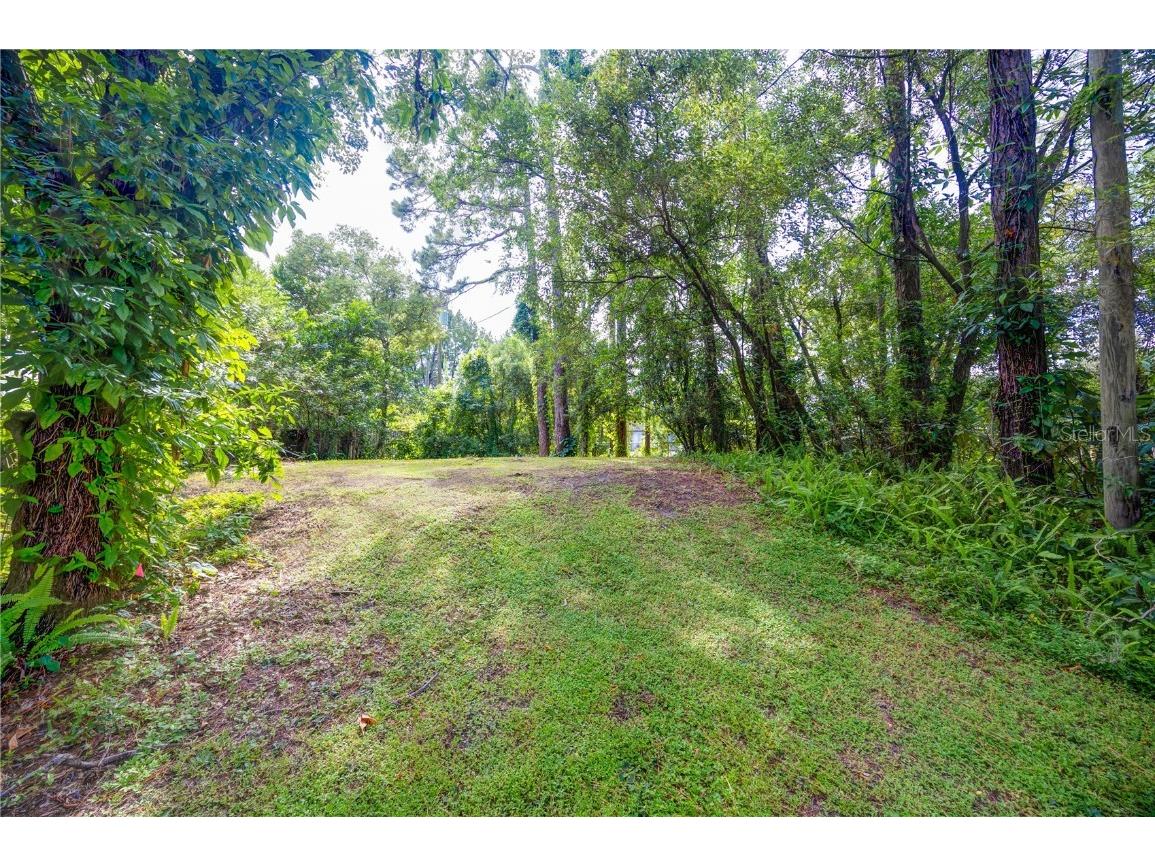 7408 Tom Drive Land O Lakes FL 34638 TB8371929 image9