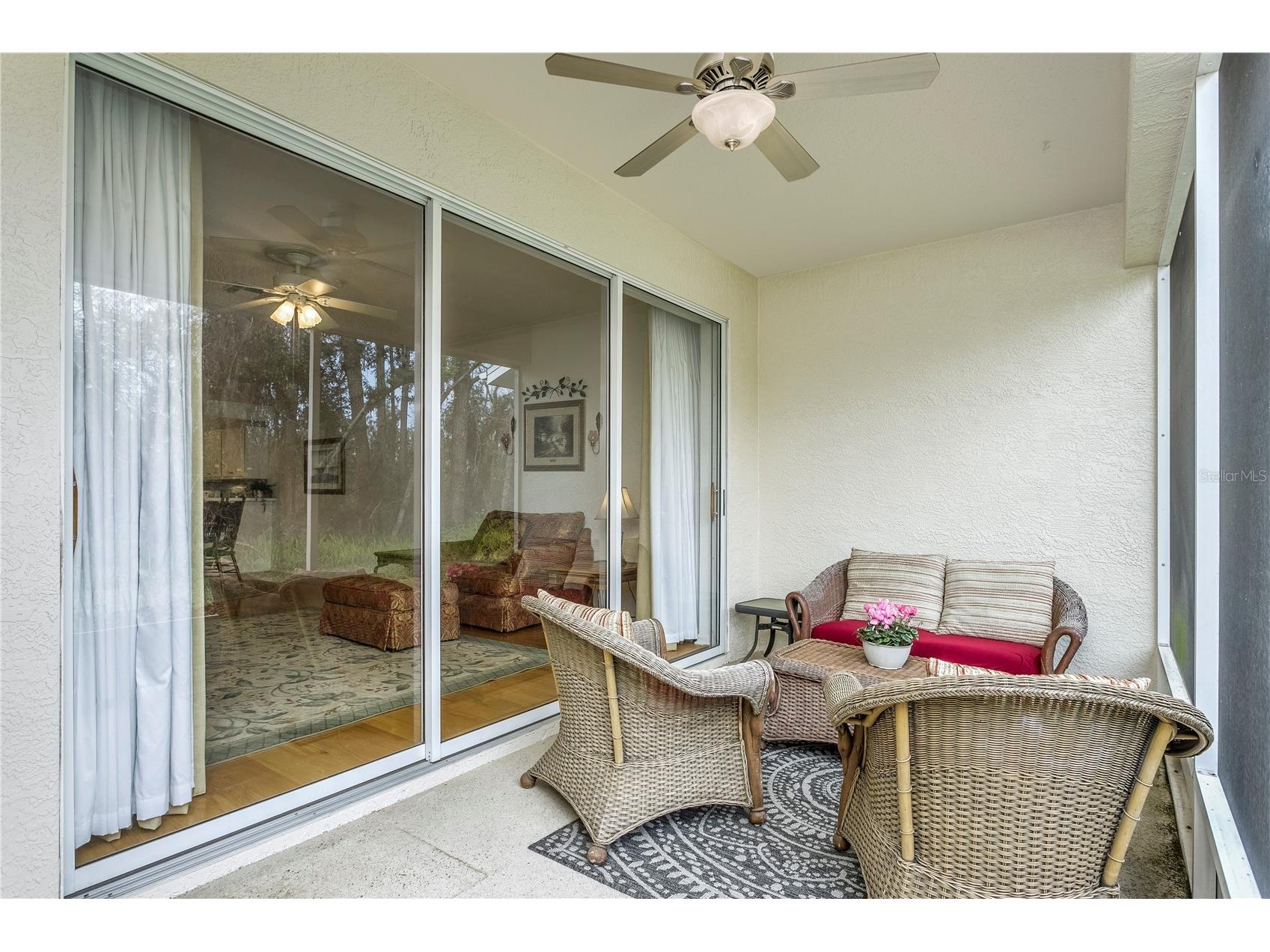 7408 Trovita Road Land O Lakes FL 34637 TB8465491 image22