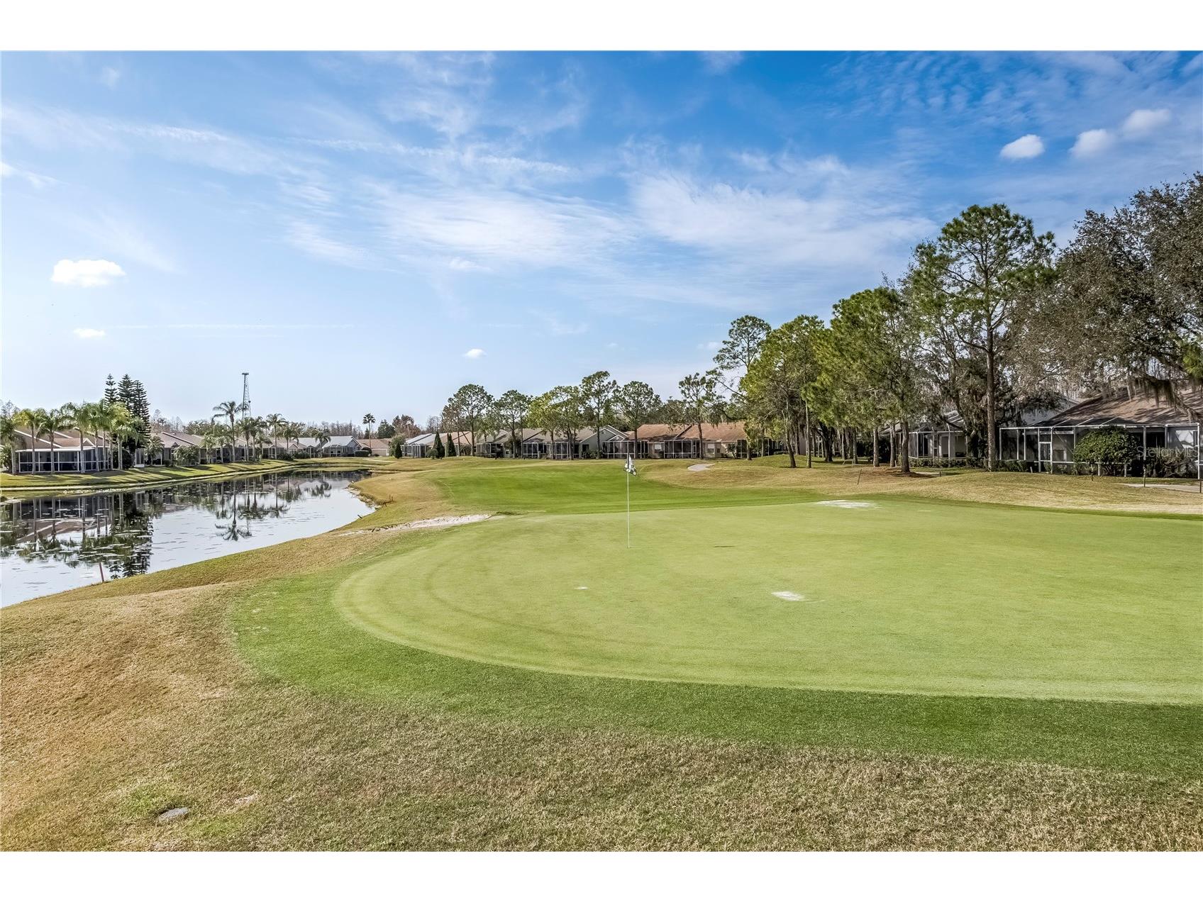 7408 Trovita Road Land O Lakes FL 34637 TB8465491 image35