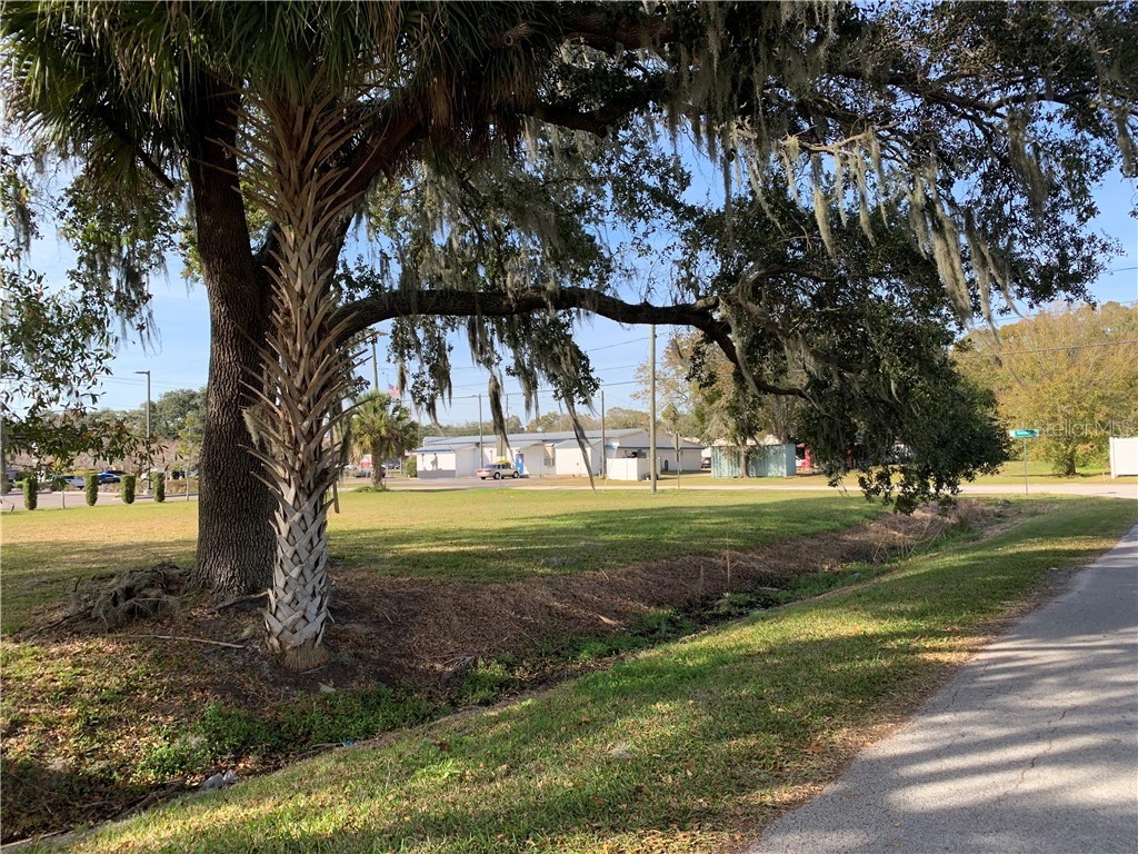 7409 Broadway Street Riverview FL 33578 T3285970 image9