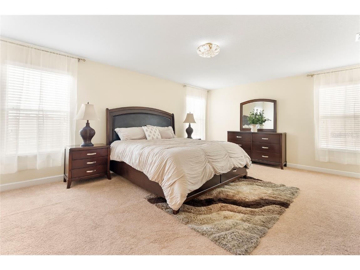 7409 Fairgrove Avenue Windermere FL 34786 O6320456 image17