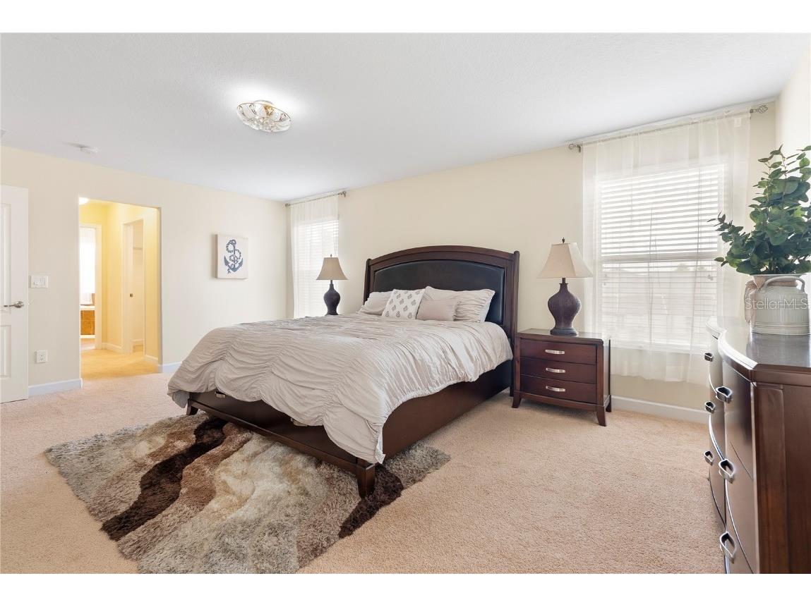 7409 Fairgrove Avenue Windermere FL 34786 O6320456 image18