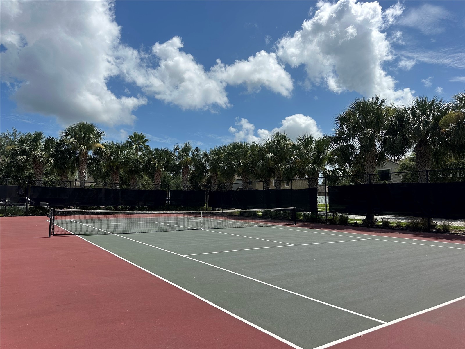 7409 Fairgrove Avenue Windermere FL 34786 O6420597 image24