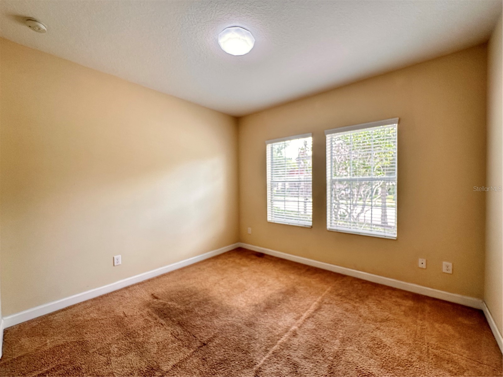 7409 Fairgrove Avenue Windermere FL 34786 O6420597 image4