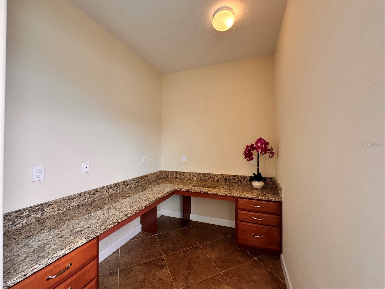7409 Fairgrove Avenue Windermere FL 34786 O6420597 image6