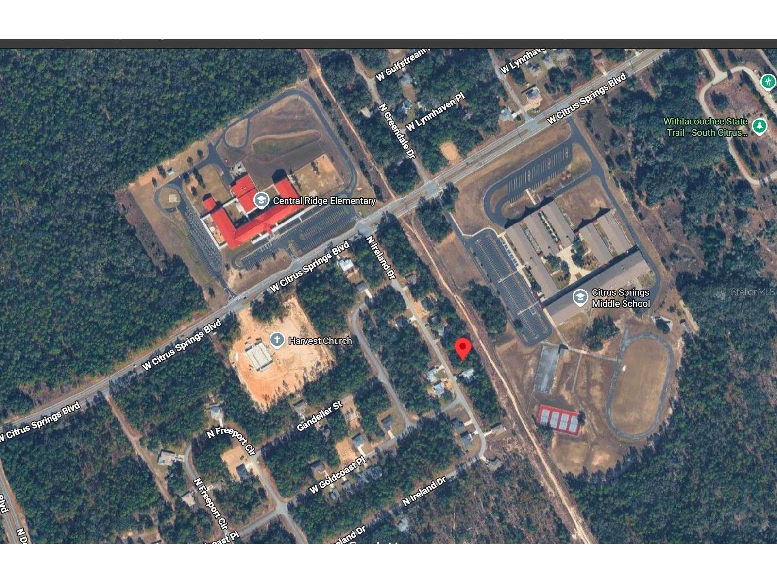 7409 N Ireland Drive Citrus Springs FL 34434 O6423345 image2