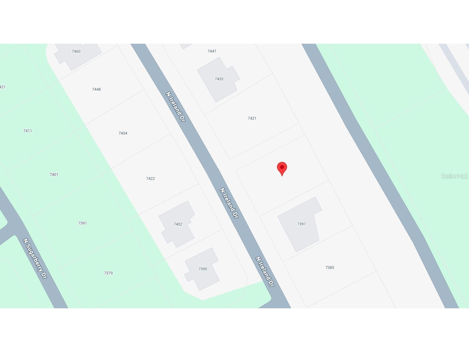 7409 N Ireland Drive Citrus Springs FL 34434 O6423345 image3