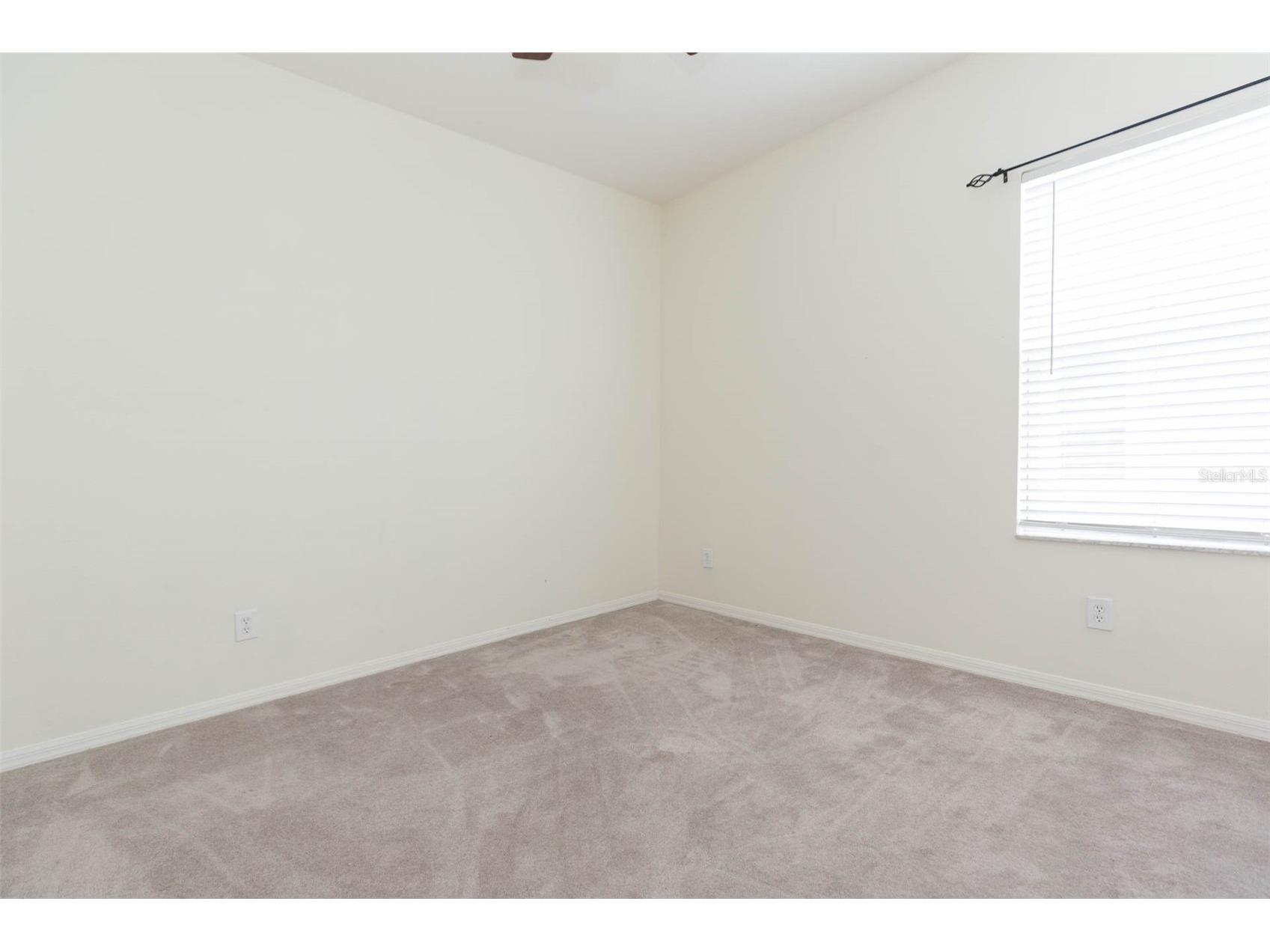 7409 Surrey Wood Lane Apollo Beach FL 33572 TB8478869 image21