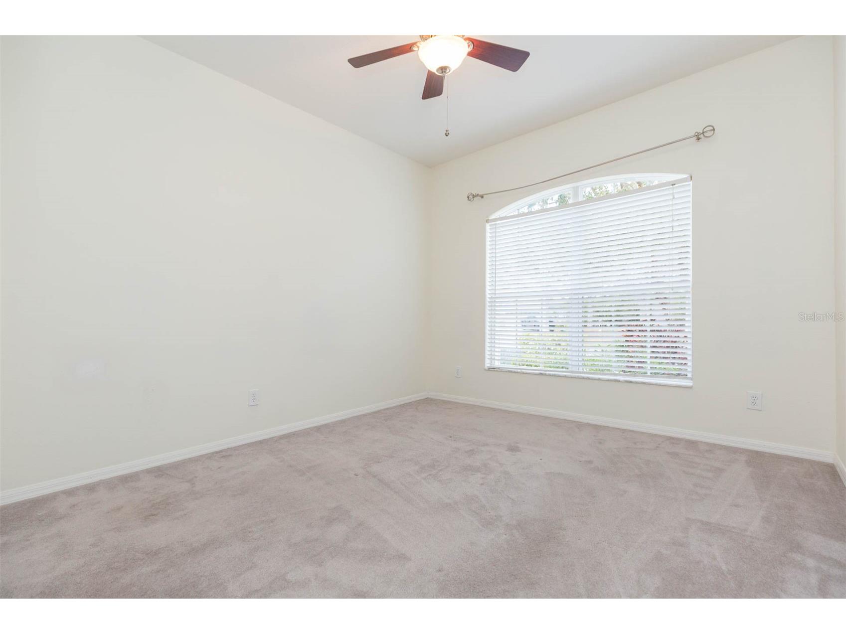 7409 Surrey Wood Lane Apollo Beach FL 33572 TB8478869 image23