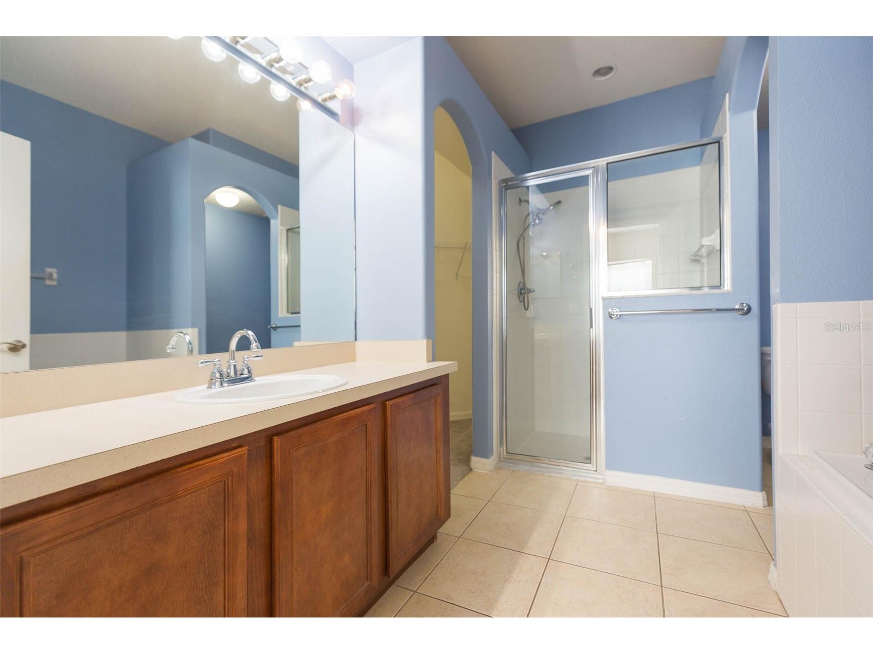 7409 Surrey Wood Lane Apollo Beach FL 33572 TB8478869 image28