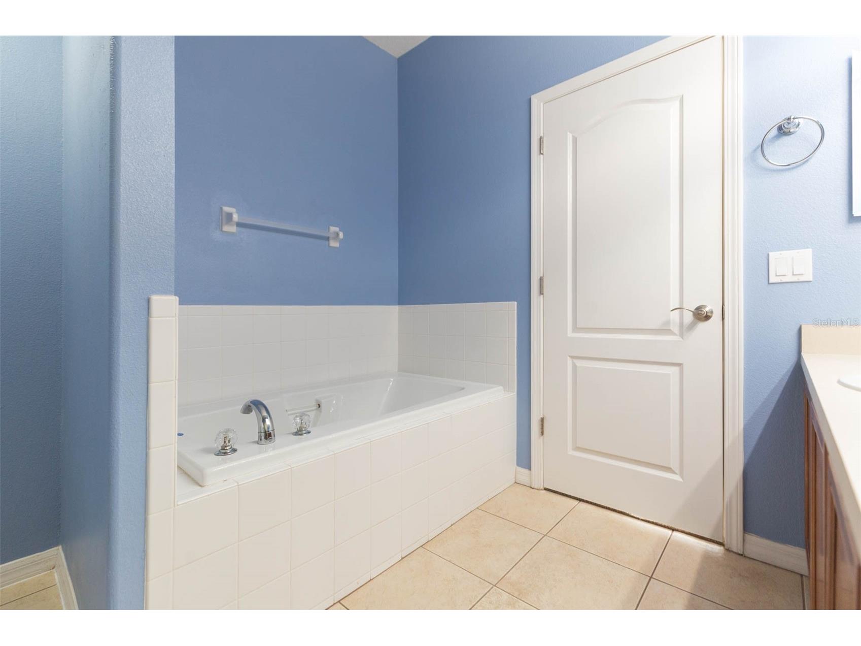 7409 Surrey Wood Lane Apollo Beach FL 33572 TB8478869 image29