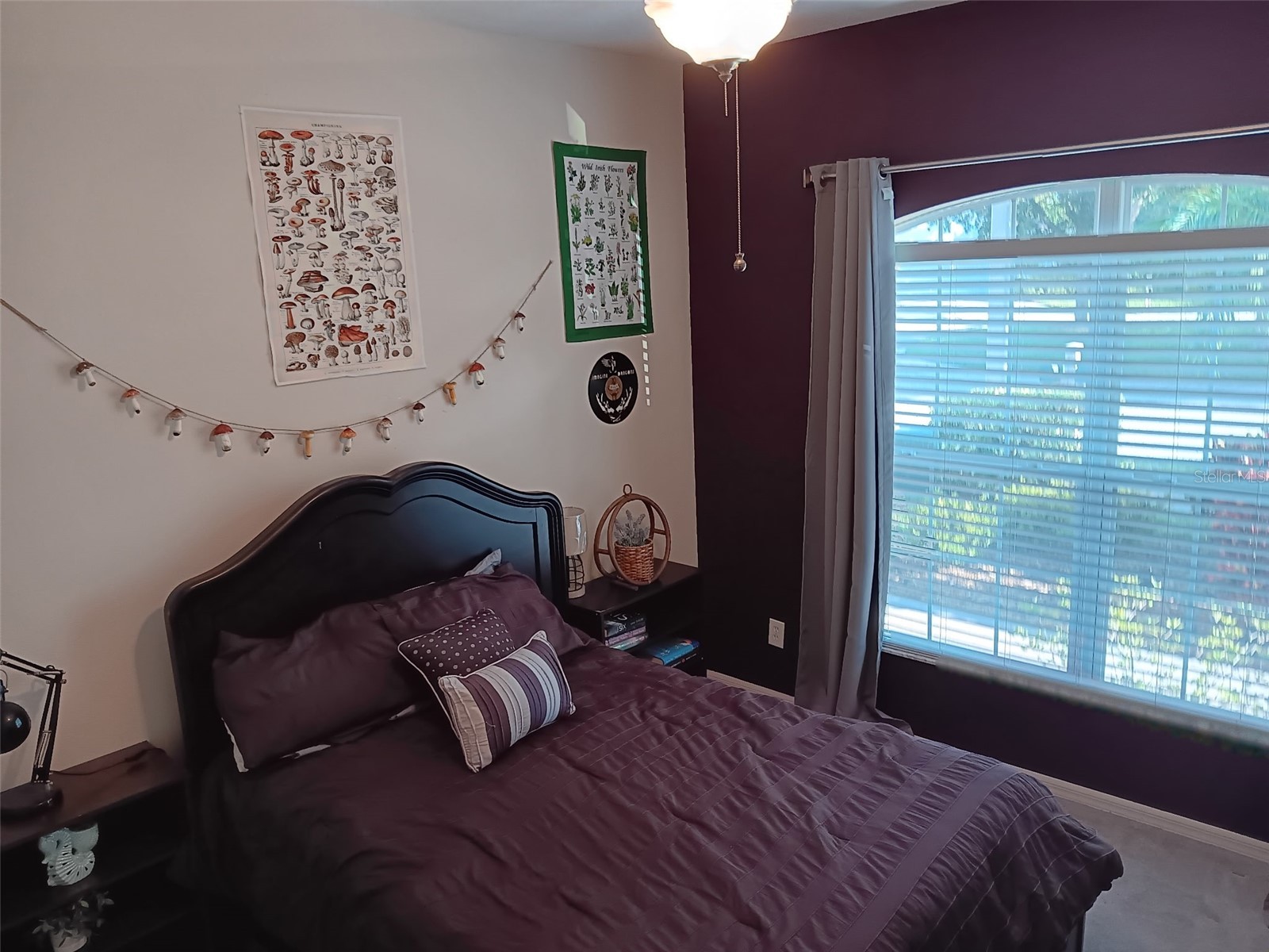 7409 Surrey Wood Lane Apollo Beach FL 33572 TB8478869 image44