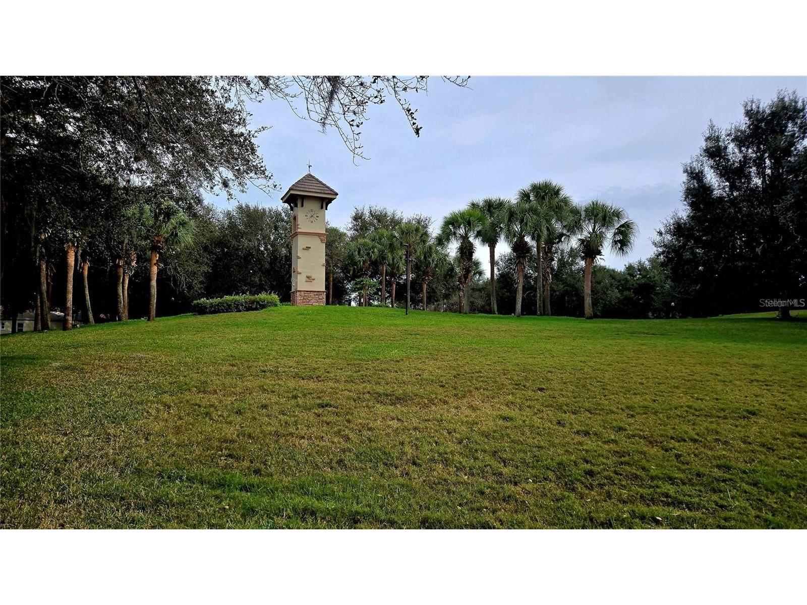 7409 Surrey Wood Lane Apollo Beach FL 33572 TB8478869 image55