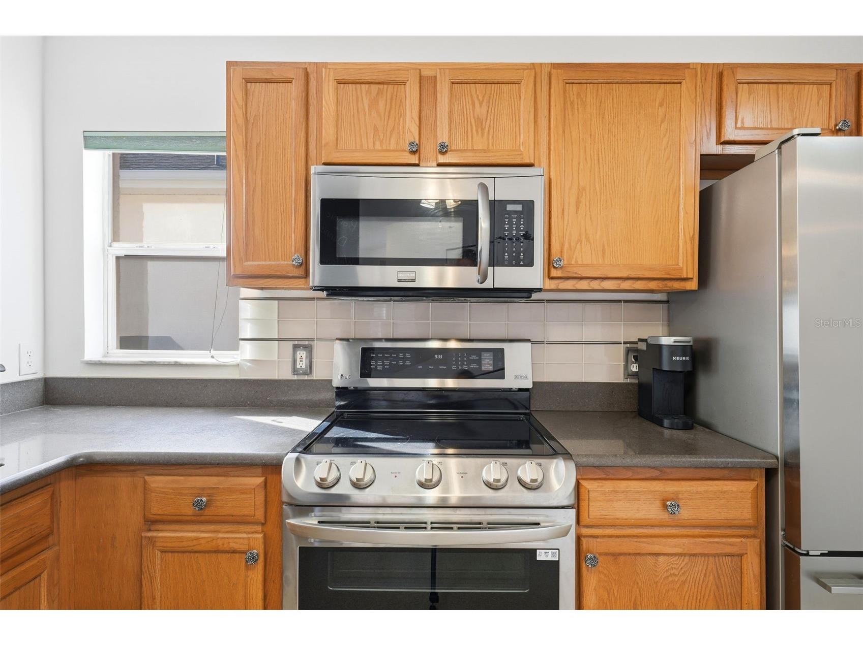 741 Hernandez Drive The Villages FL 32159 G5110582 image6