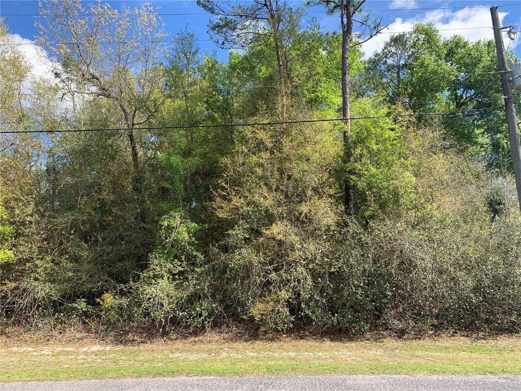 741 NE 130th Terrace Silver Springs FL 34488 - WALDENA LAKE OM674377 image1