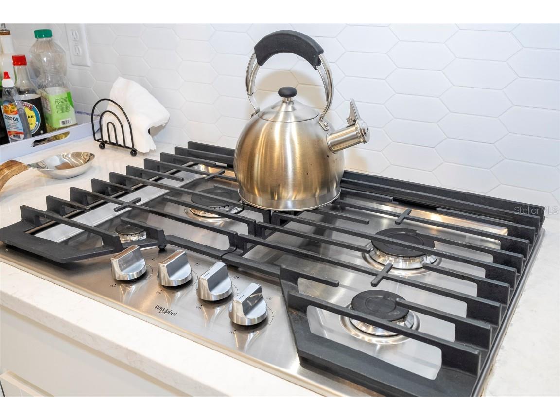 7410 Barrier Cove Way Kissimmee FL 34747 O6348008 image28