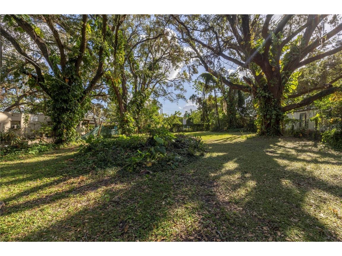 7410 Brooklyn Road Tampa FL 33625 TB8316965 image1