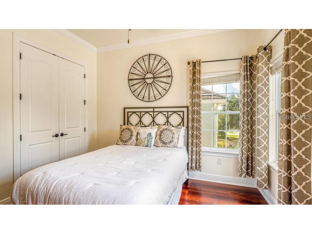 7411 Excitement Drive Reunion FL 34747 O6313499 image16