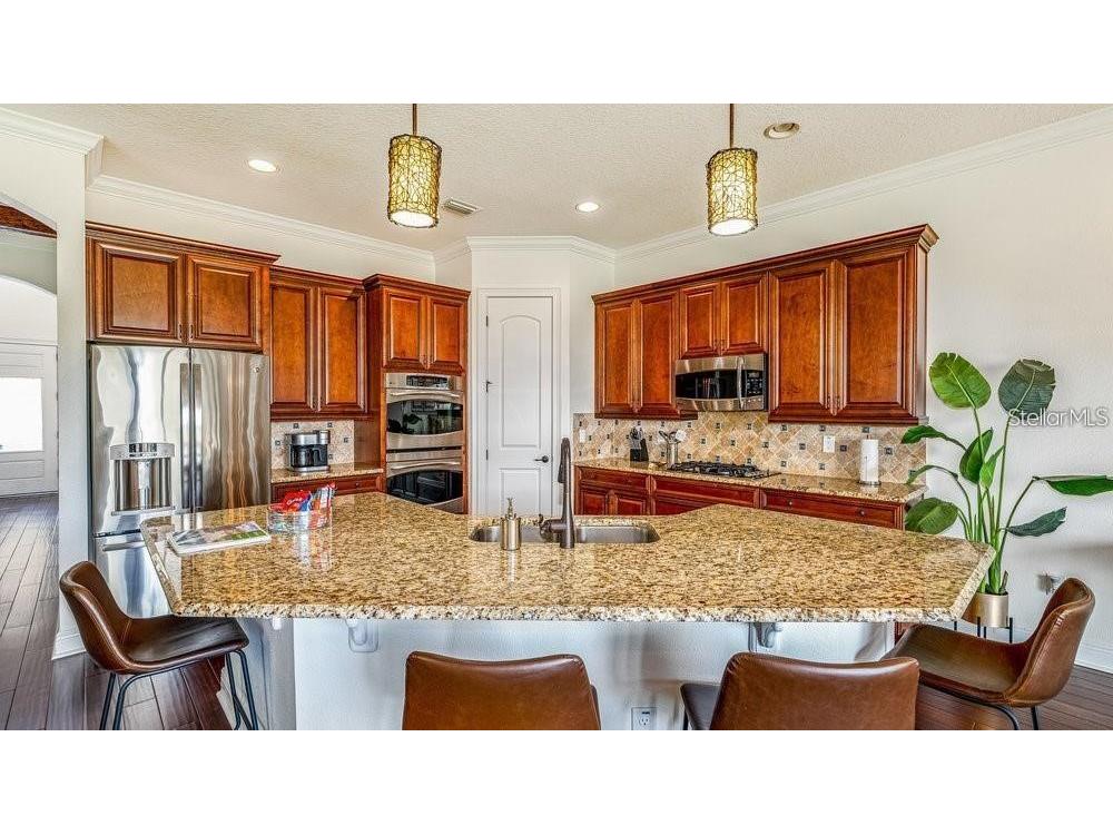 7411 Excitement Drive Reunion FL 34747 O6313499 image7