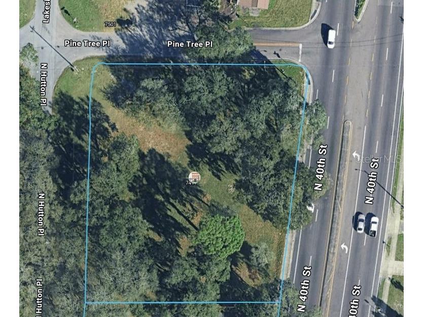 7411 N Hutton Place Tampa FL 33604 TB8497376 image1