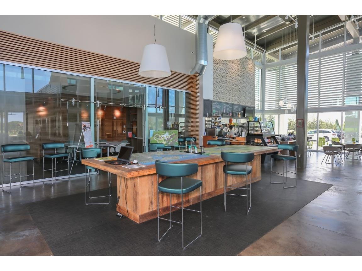 7411 Windport Lane Apollo Beach FL 33572 TB8410900 image53