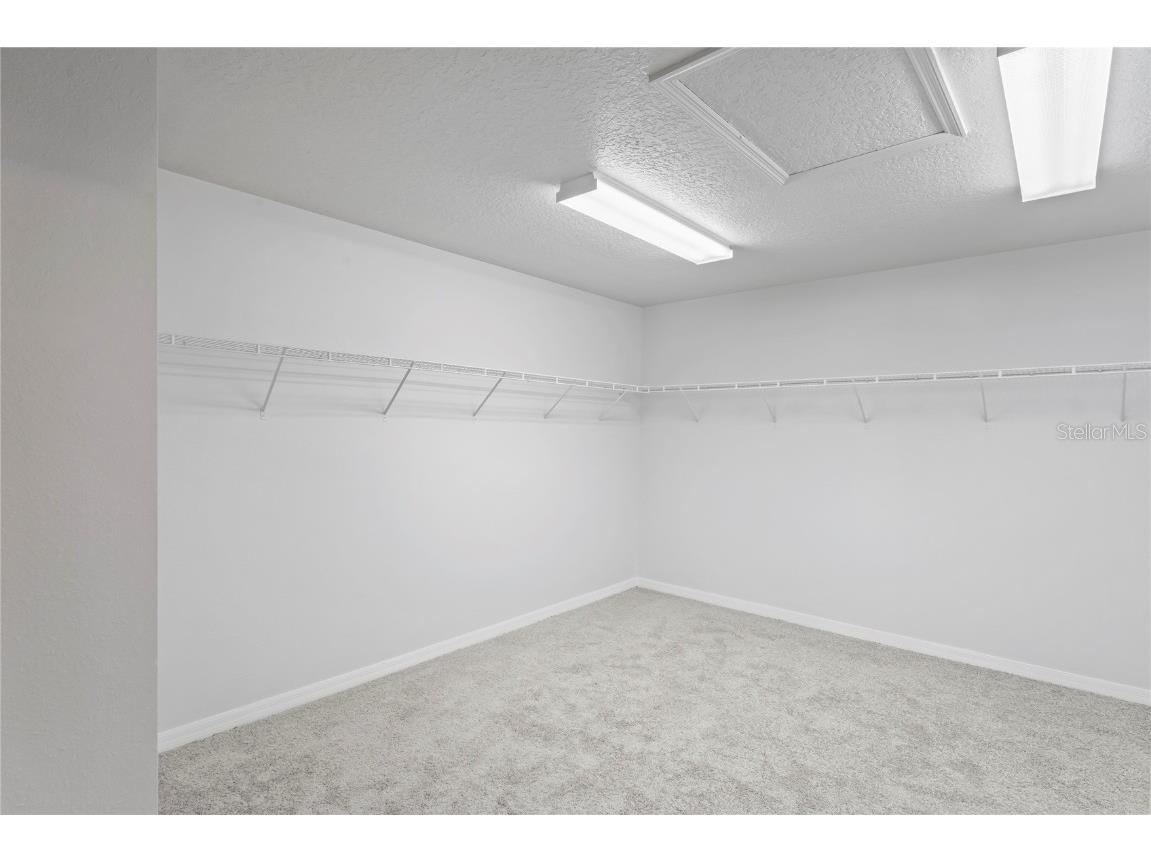 7412 Bridgeview Drive Wesley Chapel FL 33545 TB8388193 image16