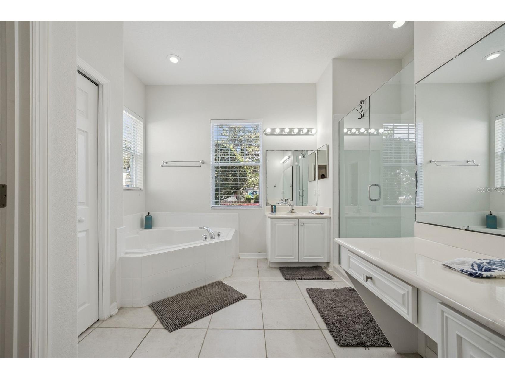 7412 Devereaux Street Kissimmee FL 34747 O6394953 image29