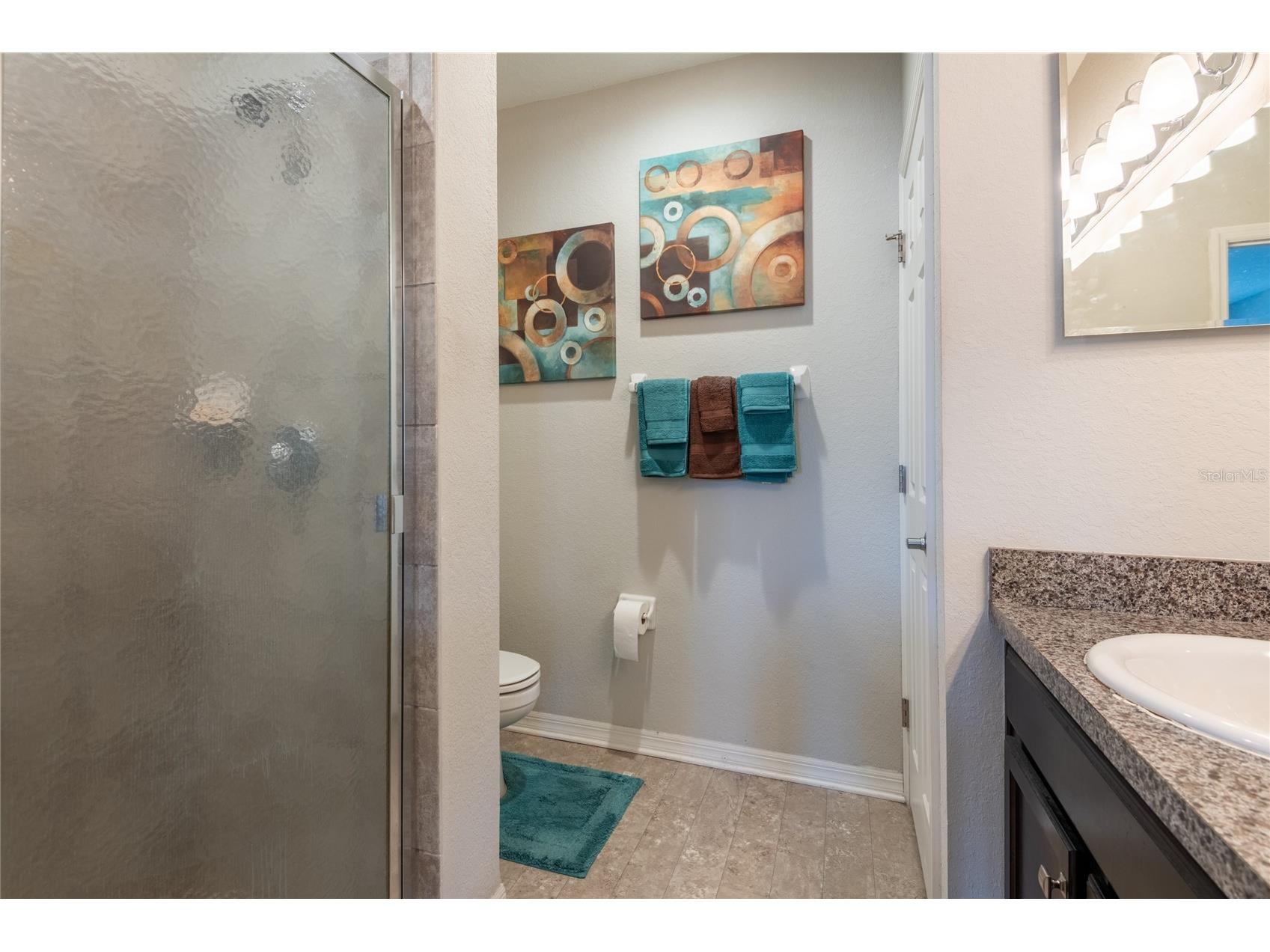7412 Indigo Oasis Court Gibsonton FL 33534 TB8527824 image20