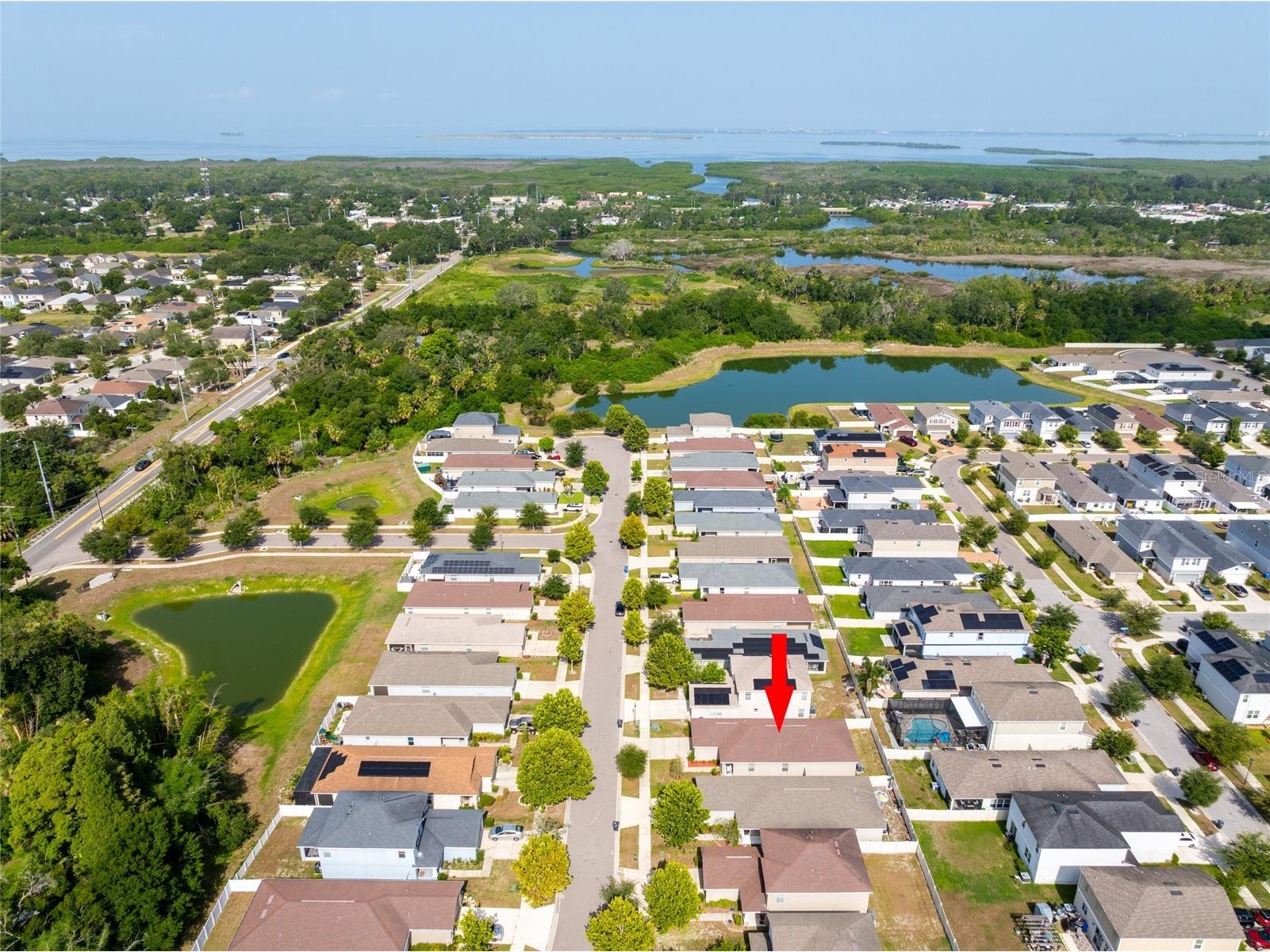 7412 Indigo Oasis Court Gibsonton FL 33534 TB8527824 image32