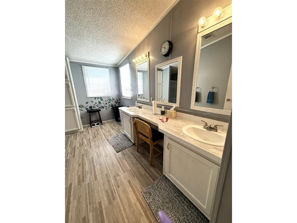 7412 Sky Drive Wesley Chapel FL 33545 W7879888 image13