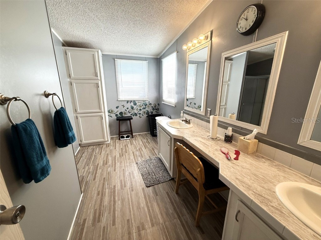 7412 Sky Drive Wesley Chapel FL 33545 W7879888 image14