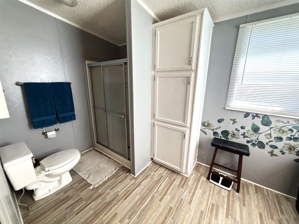 7412 Sky Drive Wesley Chapel FL 33545 W7879888 image15