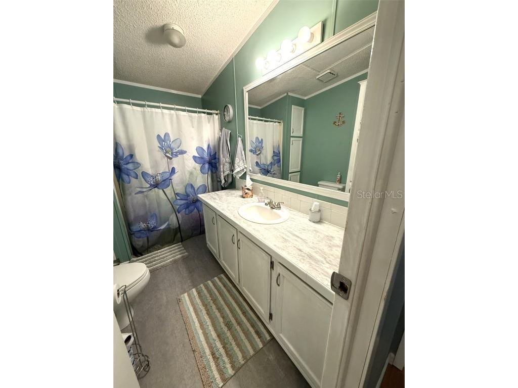 7412 Sky Drive Wesley Chapel FL 33545 W7879888 image21