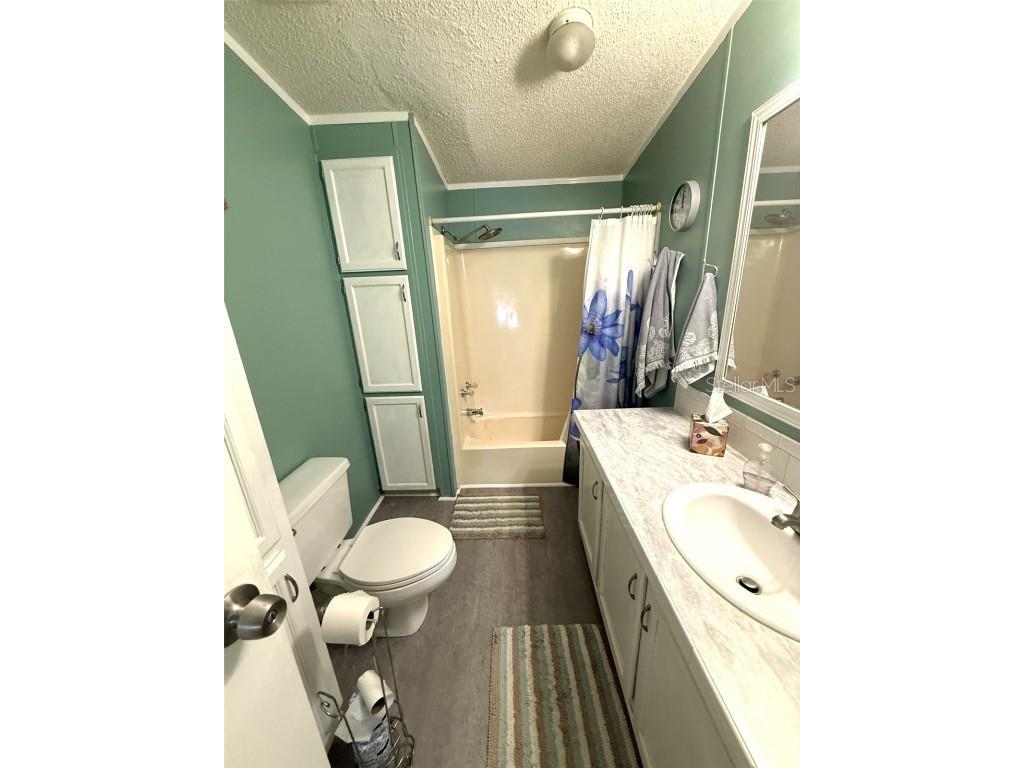 7412 Sky Drive Wesley Chapel FL 33545 W7879888 image23