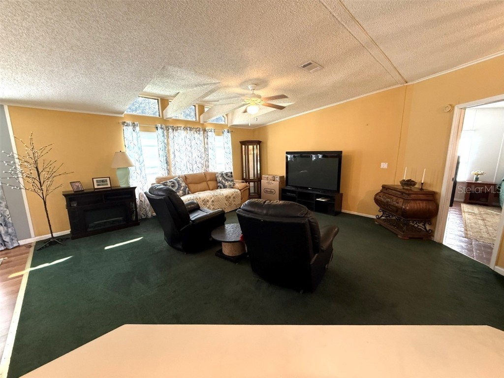 7412 Sky Drive Wesley Chapel FL 33545 W7879888 image7