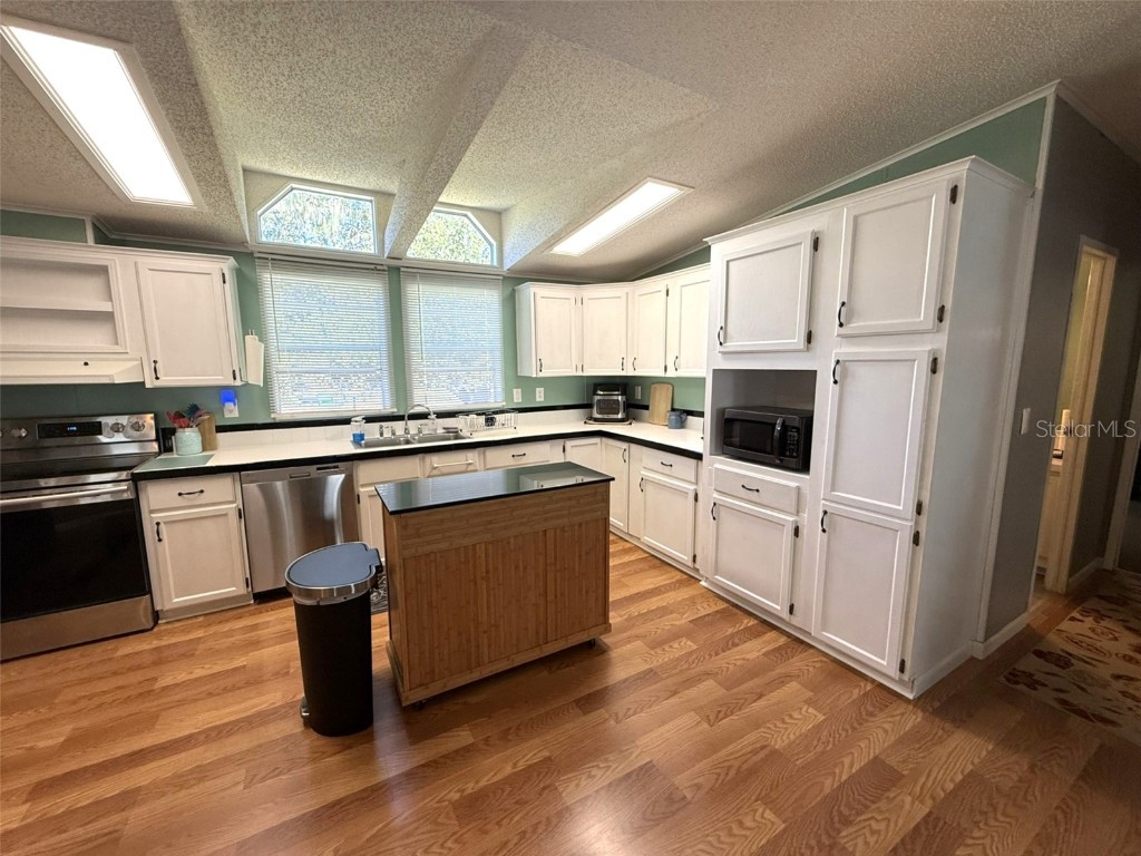 7412 Sky Drive Wesley Chapel FL 33545 W7879888 image9