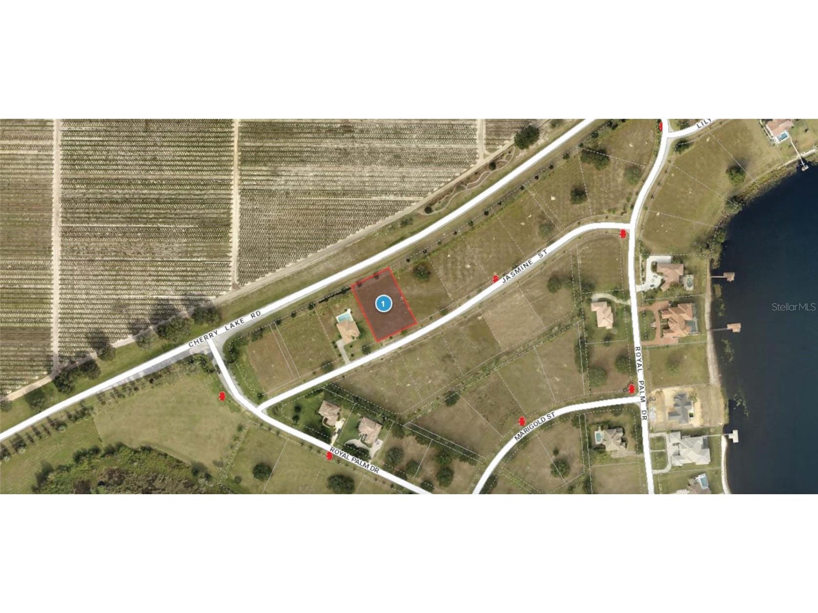 7413 Jasmine Street Groveland FL 34736 T3494717 image1