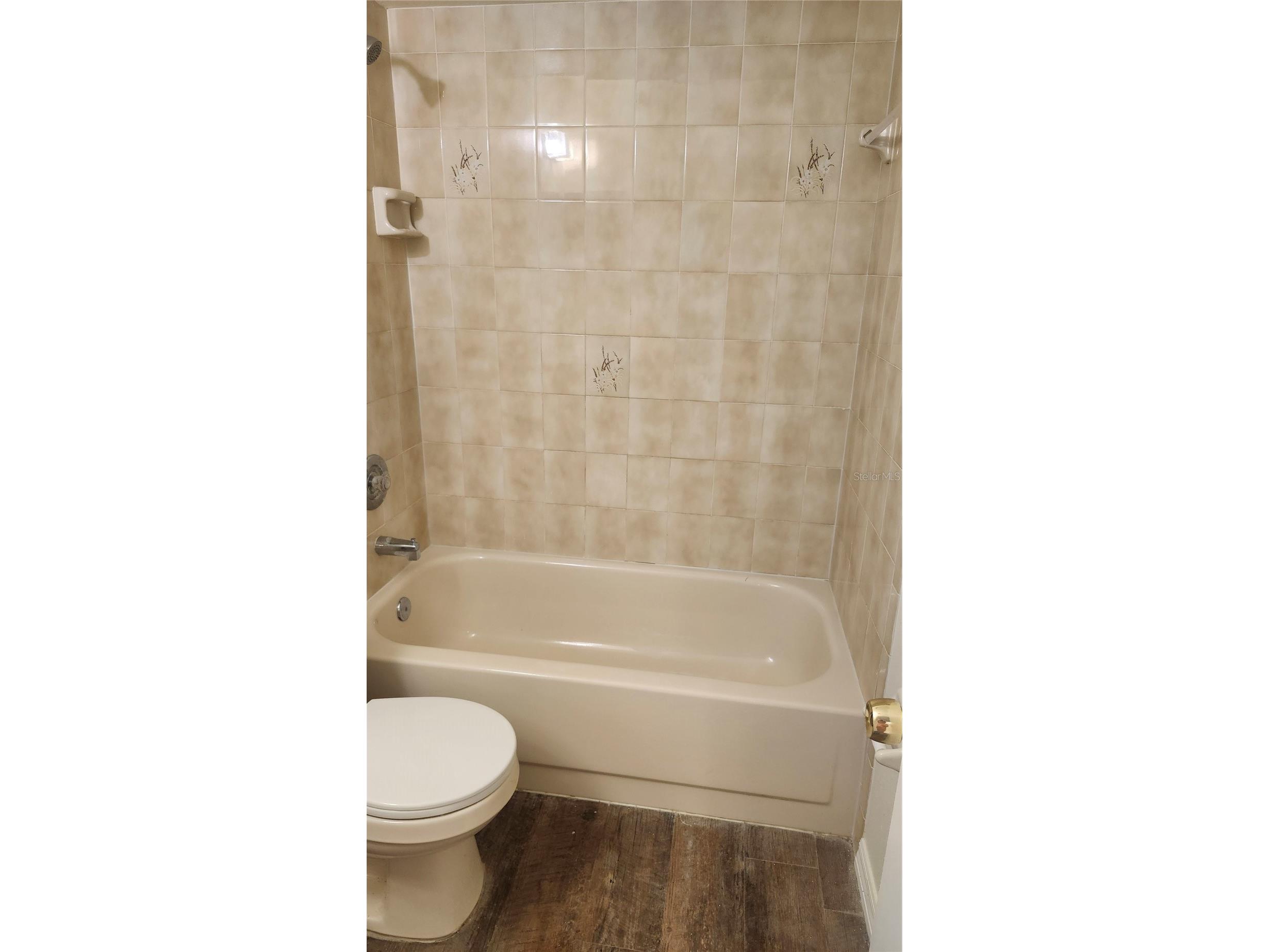 7413 Mead Drive Spring Hill FL 34606 TB8526773 image21