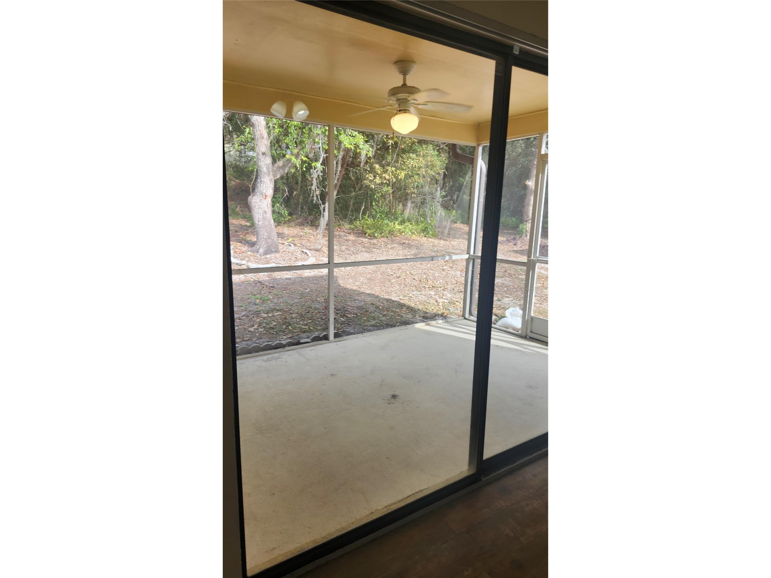 7413 Mead Drive Spring Hill FL 34606 TB8526773 image25