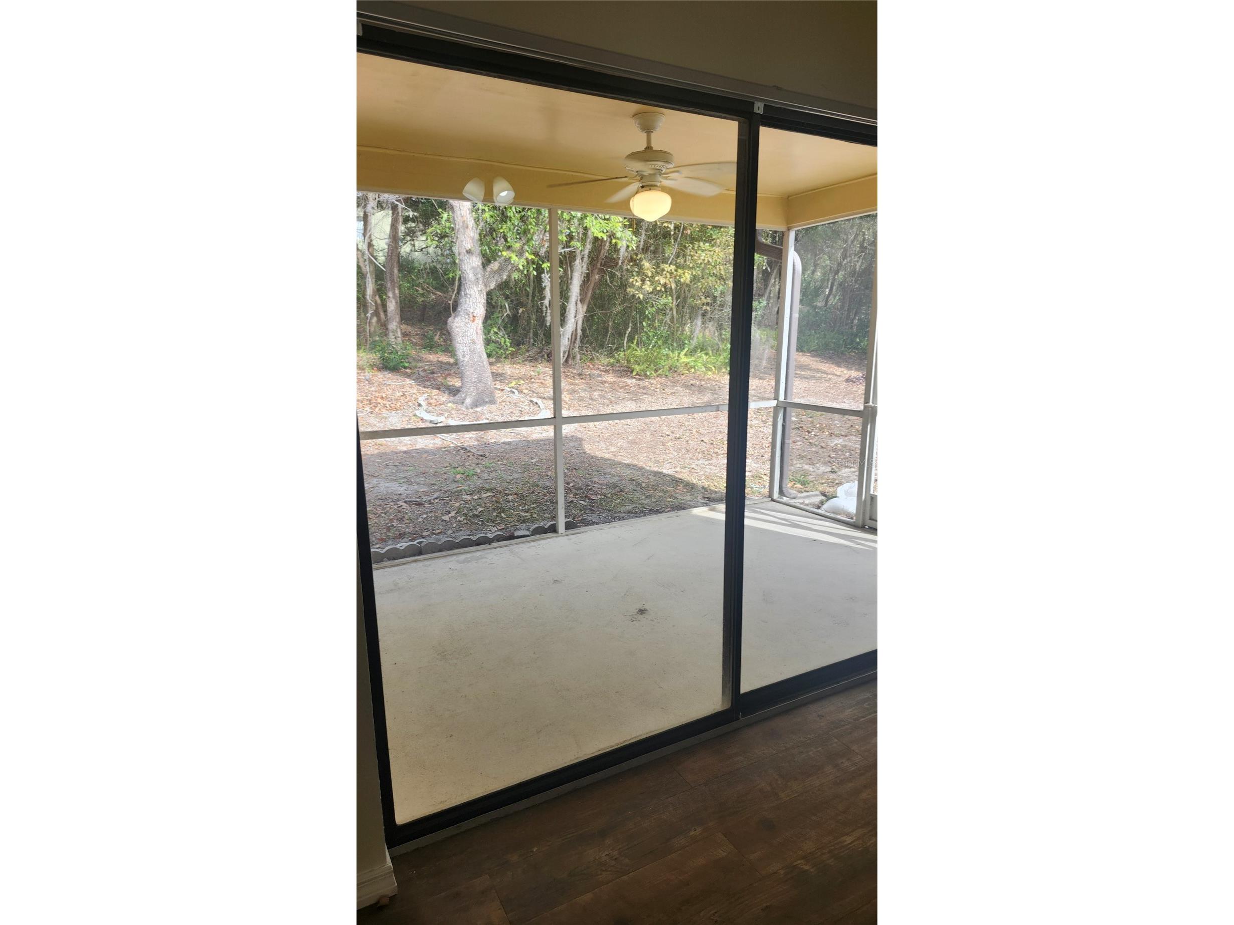 7413 Mead Drive Spring Hill FL 34606 TB8526773 image26