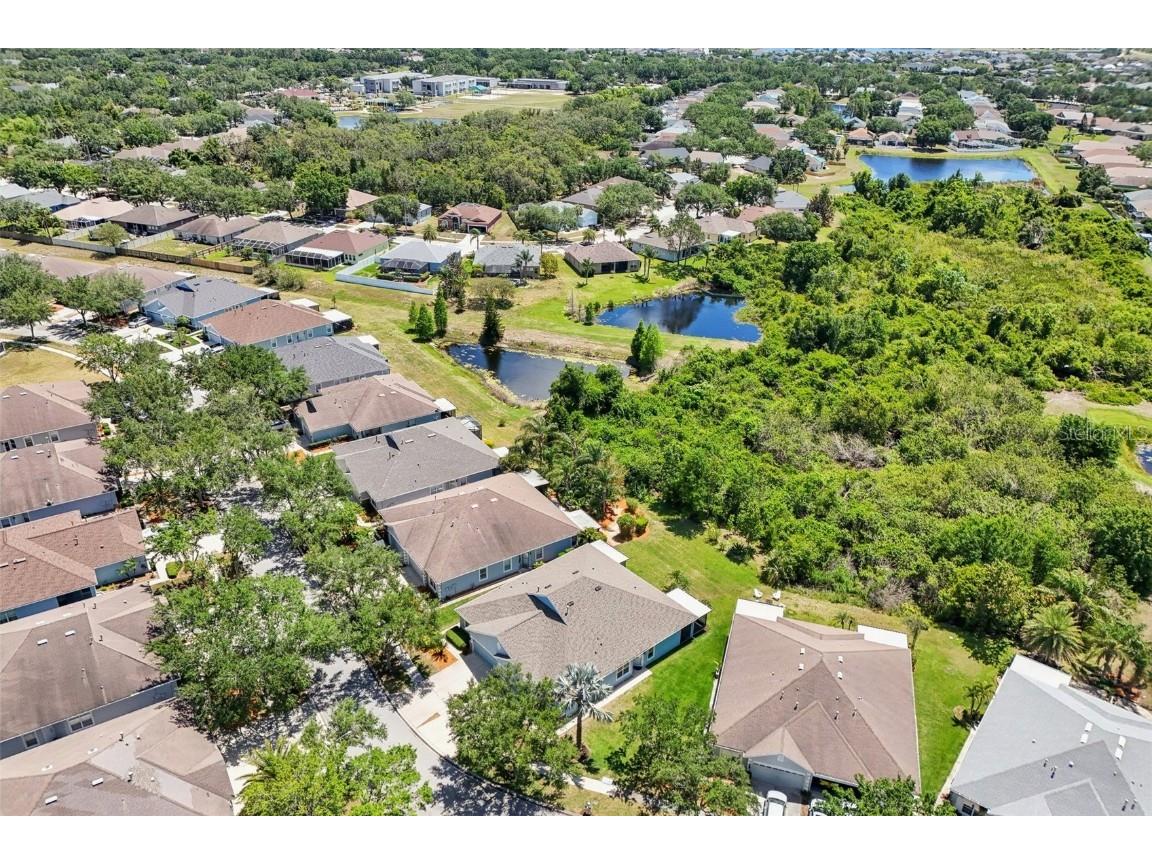 7413 Surrey Wood Lane Apollo Beach FL 33572 TB8374126 image41