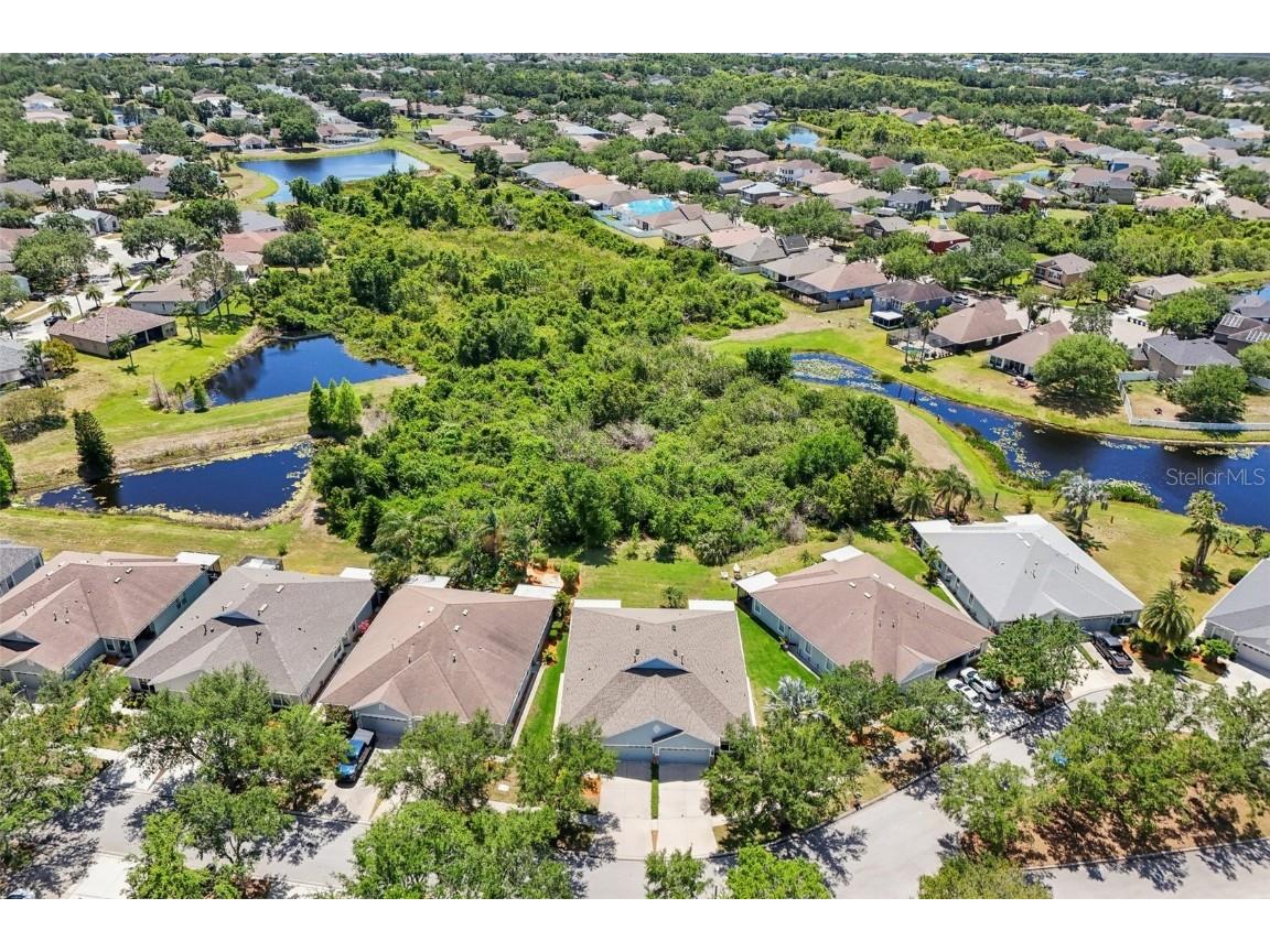 7413 Surrey Wood Lane Apollo Beach FL 33572 TB8374126 image42