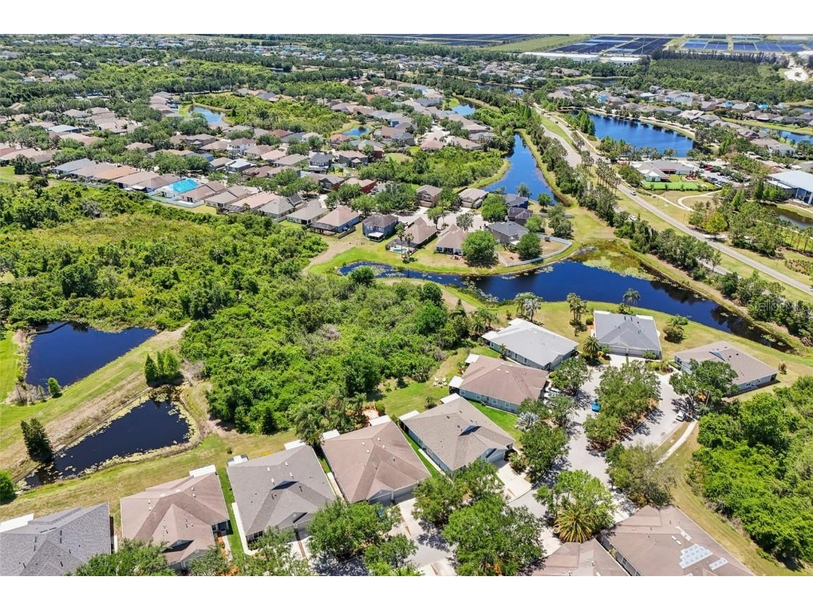 7413 Surrey Wood Lane Apollo Beach FL 33572 TB8374126 image44