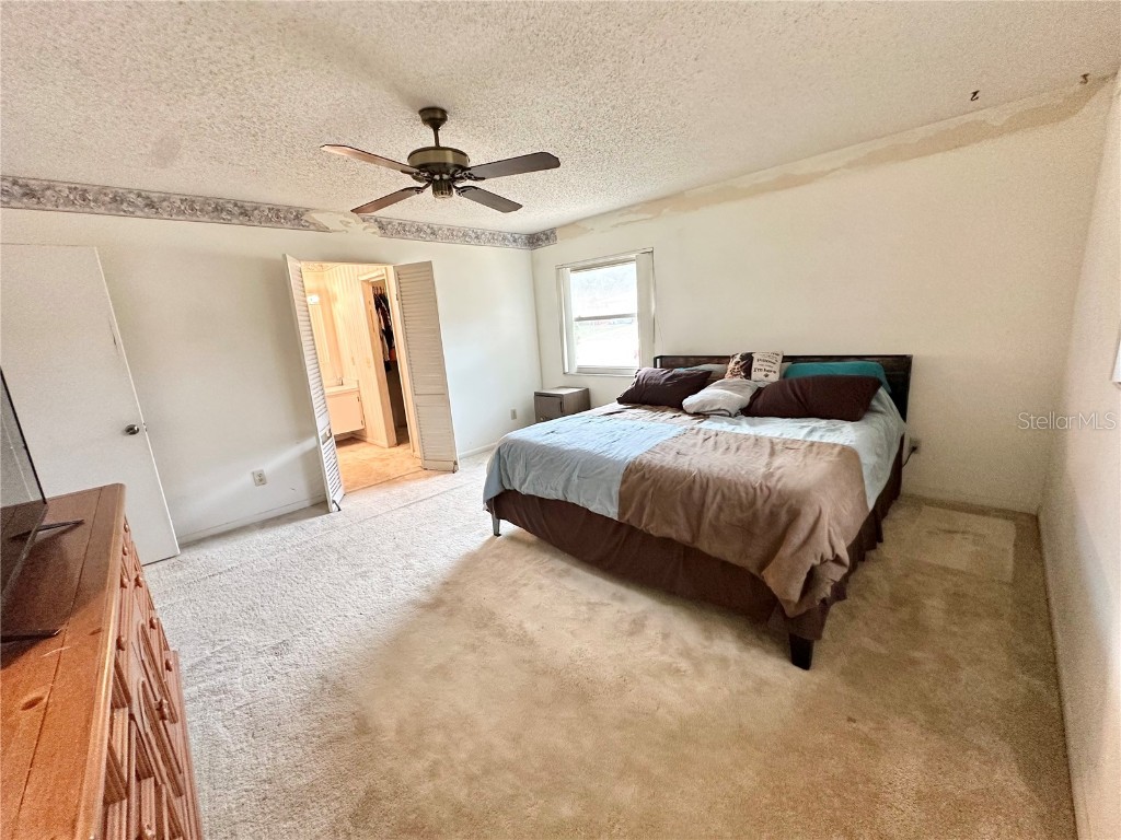 7414 Acorn Circle Spring Hill FL 34606 - LAKE GREENBRIER W7881299 image28