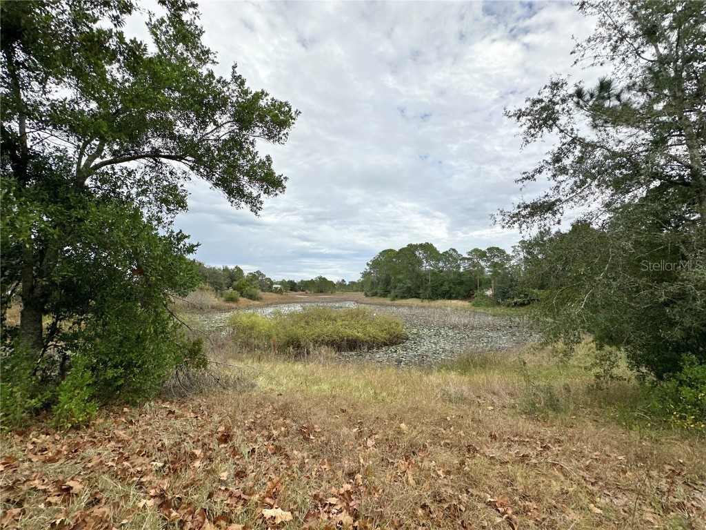 7414 Acorn Circle Spring Hill FL 34606 - LAKE GREENBRIER W7881299 image44