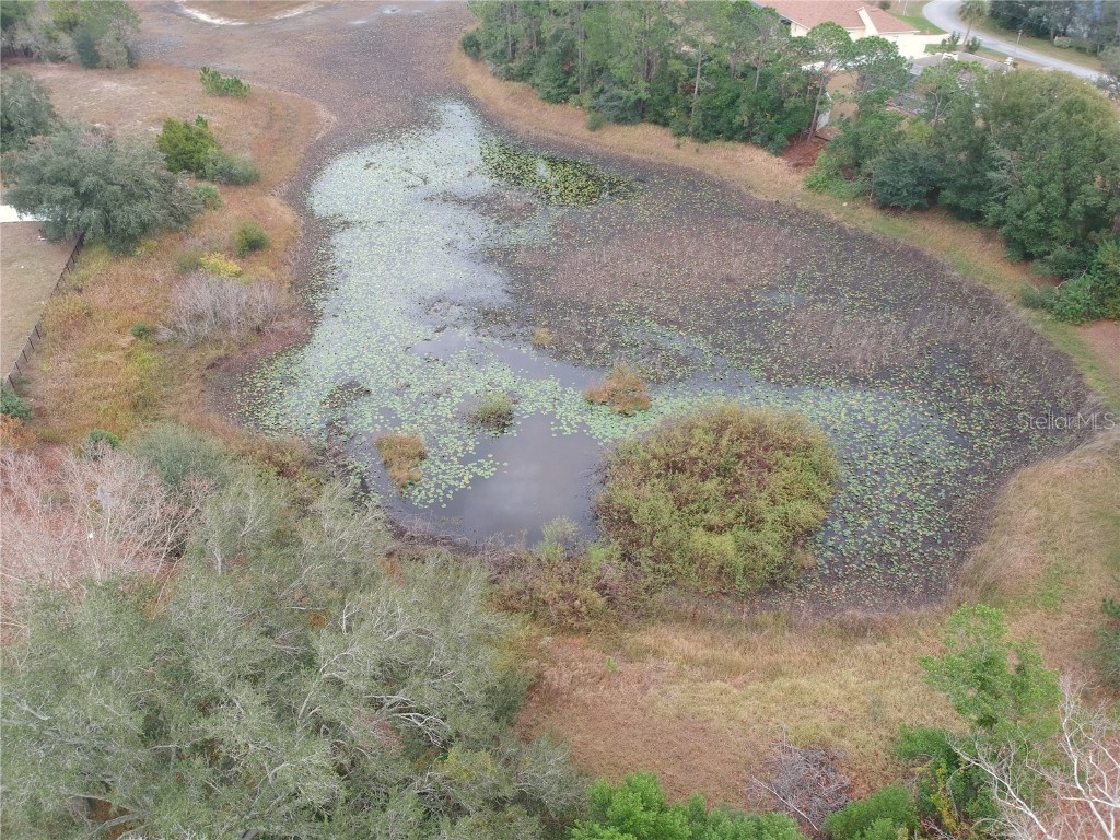 7414 Acorn Circle Spring Hill FL 34606 - LAKE GREENBRIER W7881299 image46