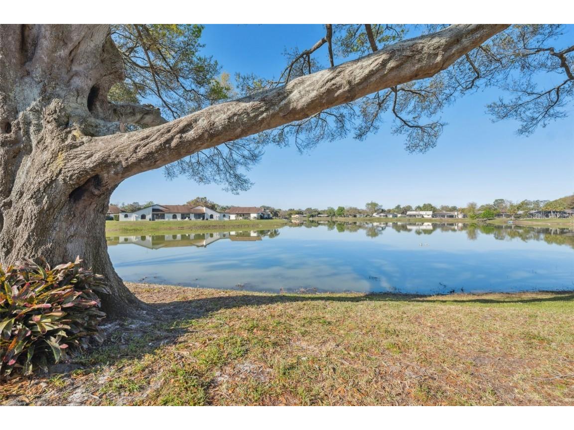 7414 Heather Walk Drive Weeki Wachee FL 34613 W7871292 image1