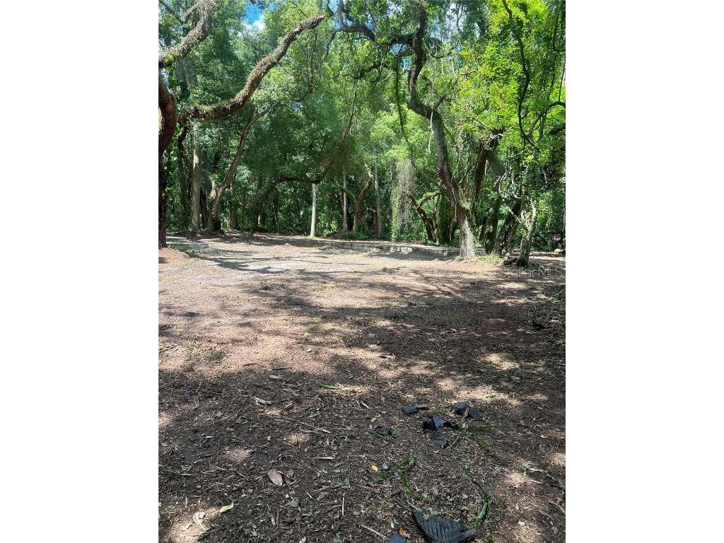 7415 20th Street Zephyrhills FL 33540 T3535664 image1